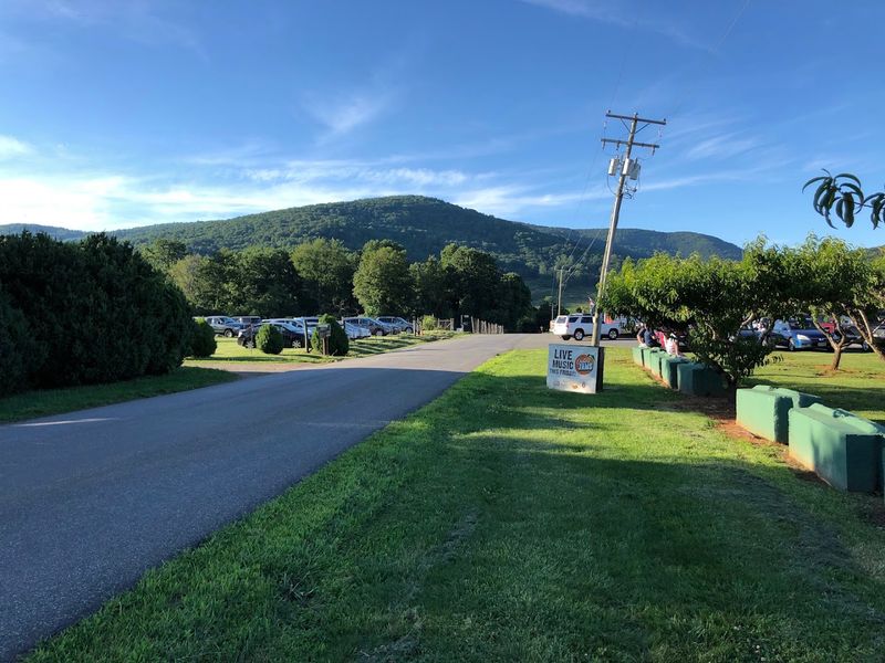 Blue Ridge Mountain Views That Stop You Mid-Bite