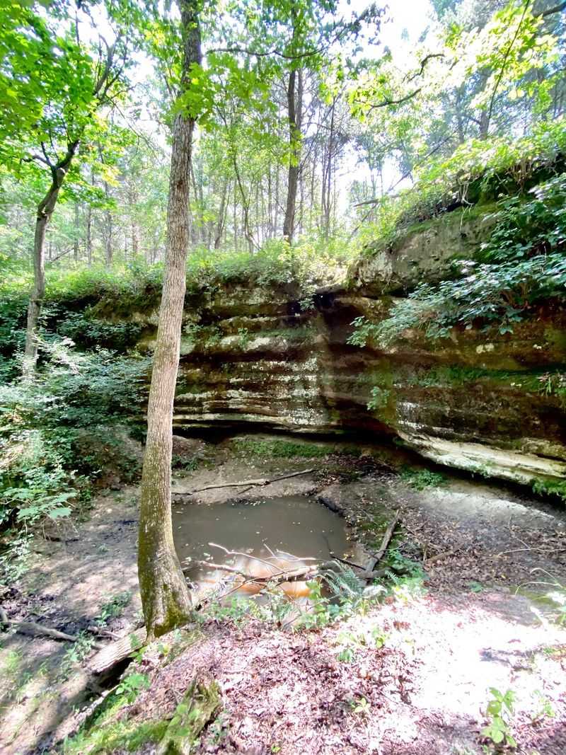 Blue Trail Leads To The Cliff Caves