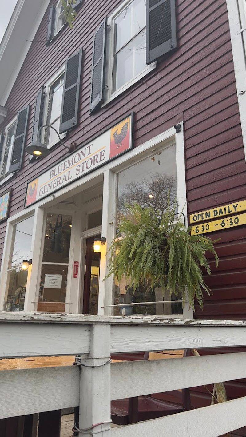 Bluemont General Store, Virginia