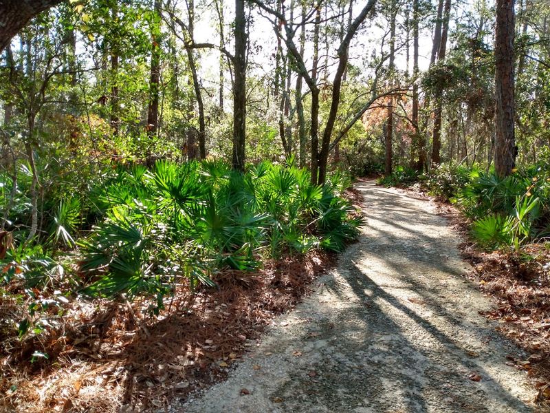 Bon Secour National Wildlife Refuge, Jeff Friend Trail