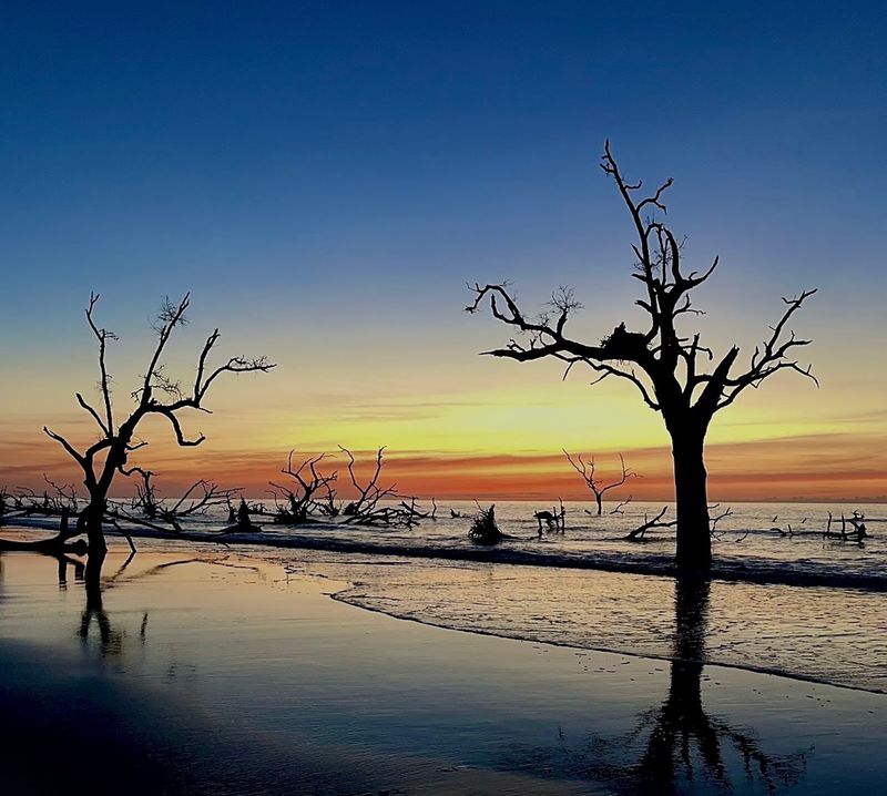 Boneyard Beach: Nature's Most Dramatic Shoreline