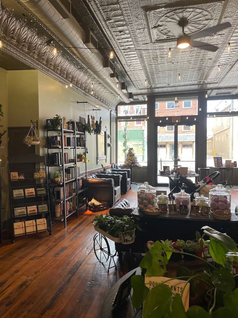 Books Plants And Handmade Finds