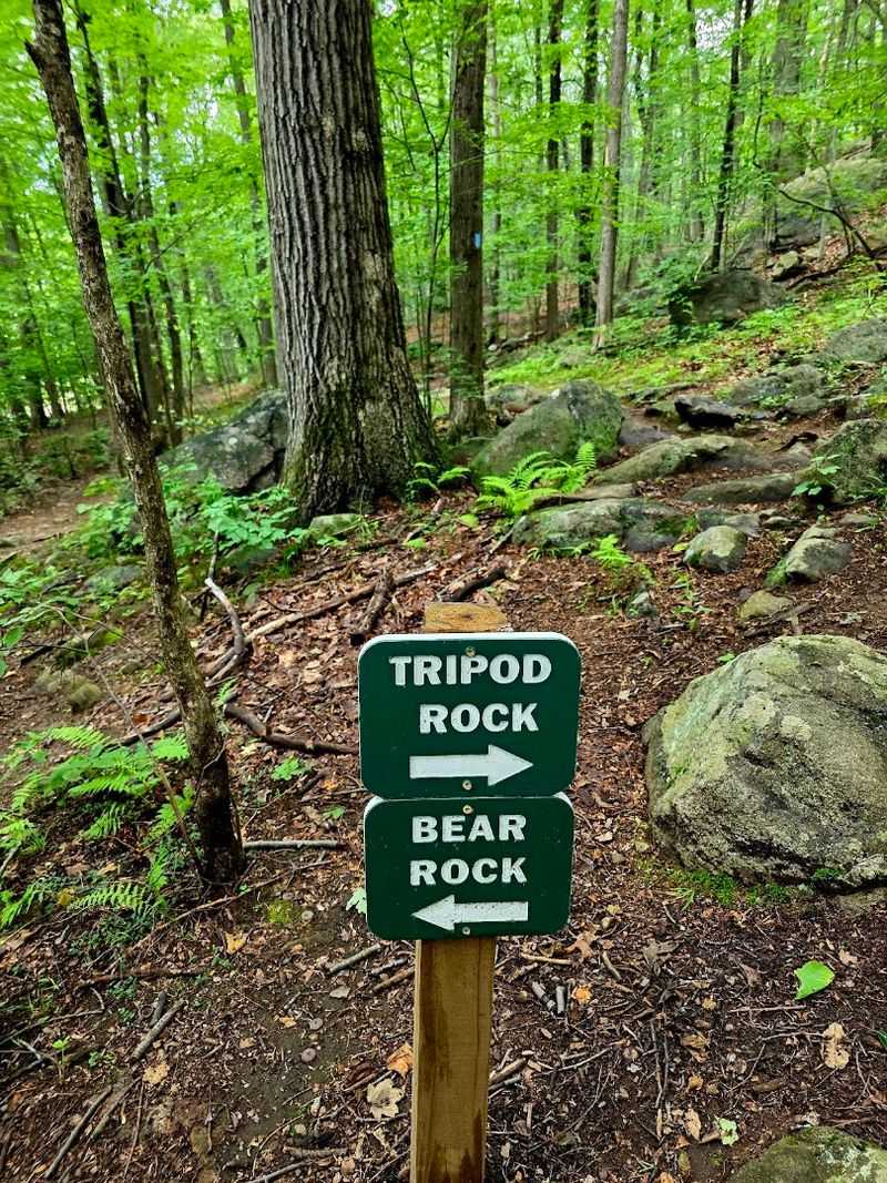 Boonton's Best Kept Hiking Secret