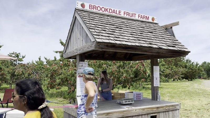 Brookdale Fruit Farm (Hollis, NH) Brookdale Fruit Farm (Hollis, NH)