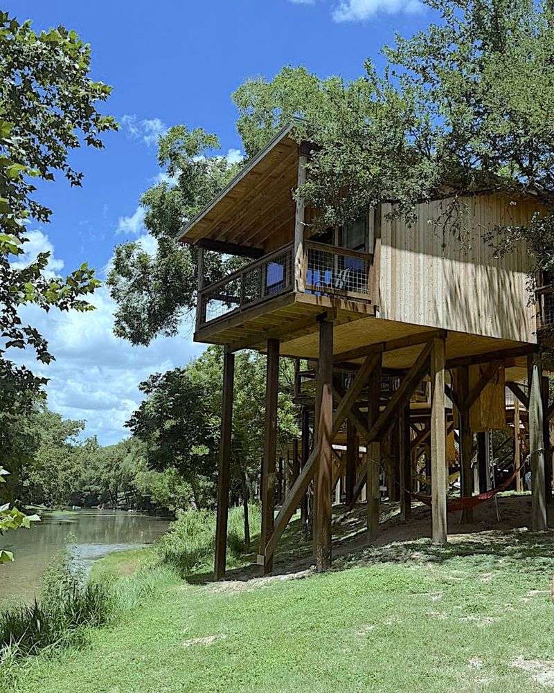 Cabins Anchored to Ancient Cypress Trees