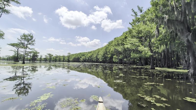 Caddo Lake State Park Caddo Lake State Park