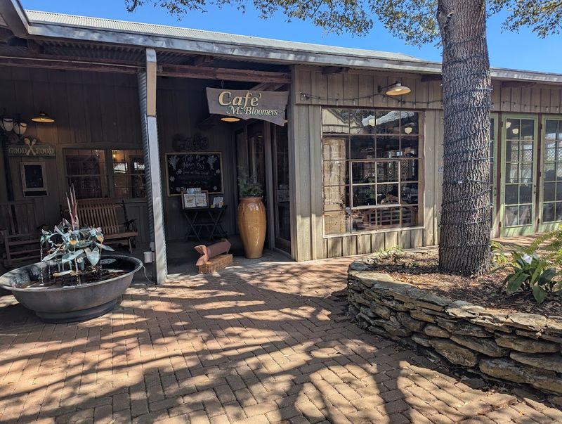 Café M. Bloomers, A Culinary Sanctuary