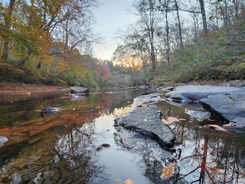 Cahaba River at Grants Mill Road