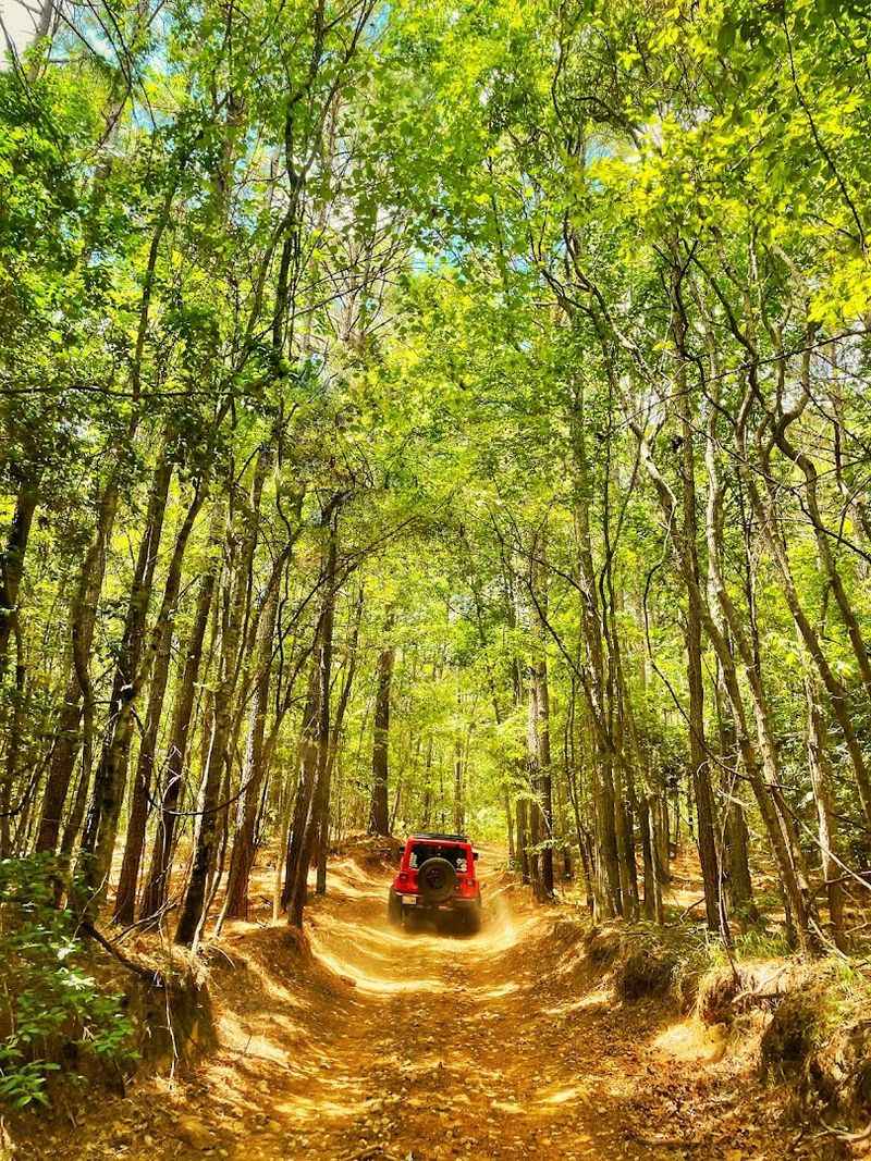 Camping Options From Primitive Sites to Full Hookup RV Spaces Camping Options From Primitive Sites to Full Hookup RV Spaces