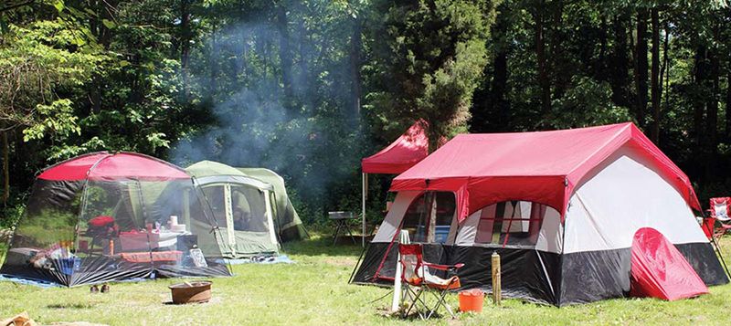 Camping Options That Actually Suit Everyone Camping Options That Actually Suit Everyone