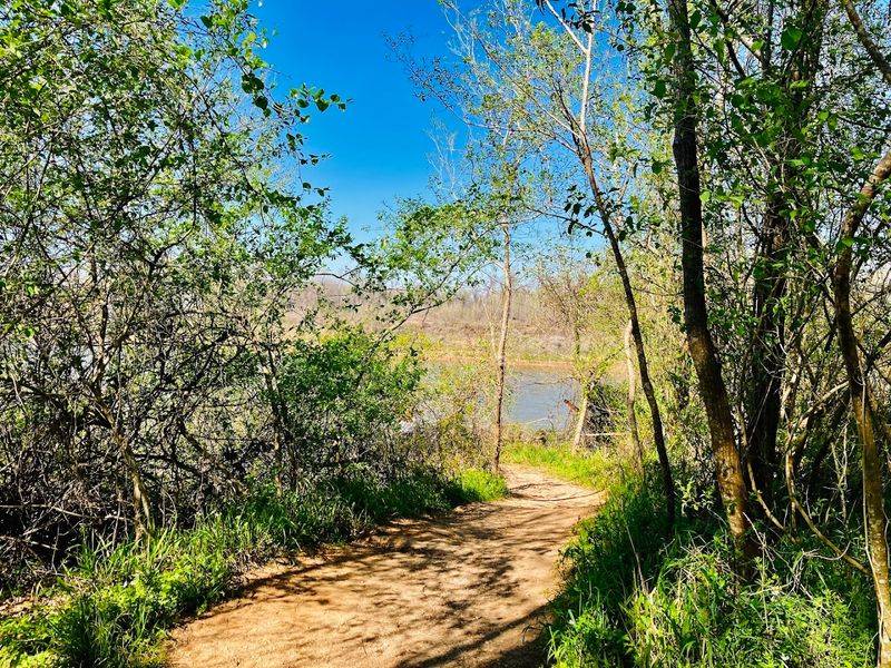 Camping Options That Suit Every Kind of Outdoor Personality Camping Options That Suit Every Kind of Outdoor Personality