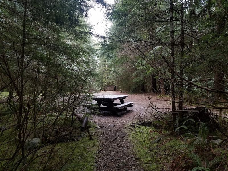 Camping Options and Overnight Experiences