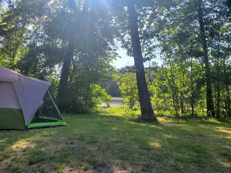 Camping Under the Pines, From Full Hook-Ups to Primitive Sites Camping Under the Pines, From Full Hook-Ups to Primitive Sites