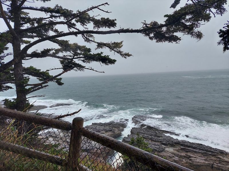 Cape Arago State Park and the Wild Coastline