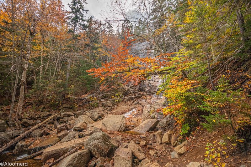Capturing Nature's Artwork Through Your Lens
