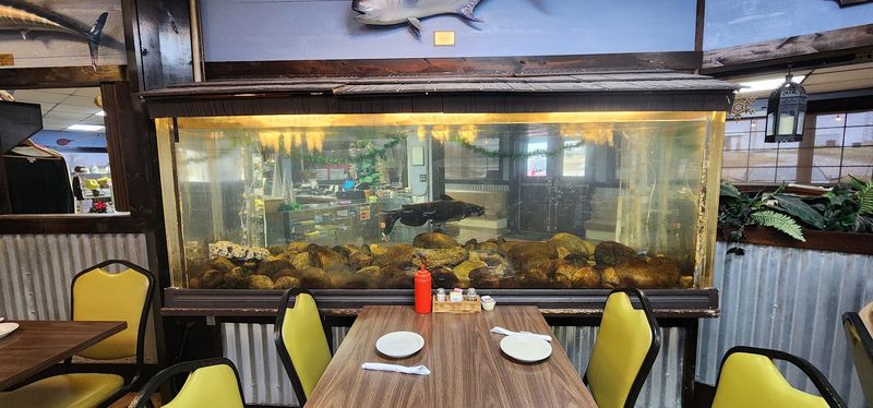 Catfish Round-Up