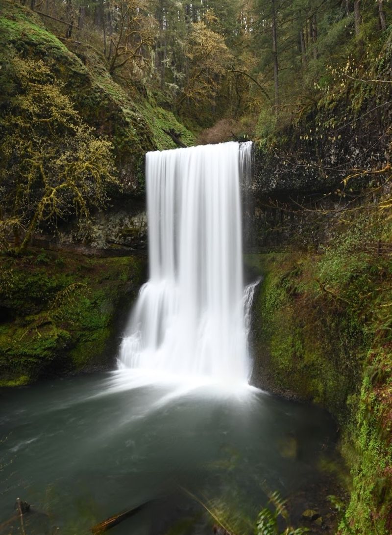 Chasing Waterfalls at Silver Falls State Park
