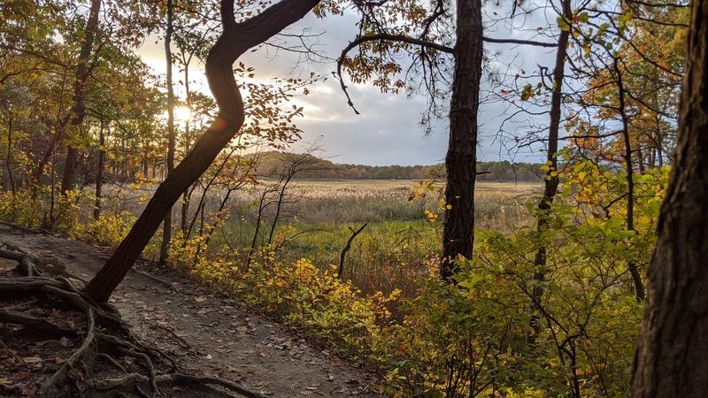 Cheesequake–Old Bridge Area 