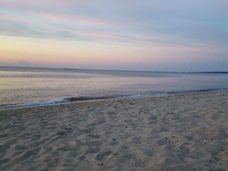 Chic's Beach Chic's Beach