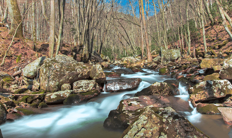 Choosing Between the Lower Trail and the Upper Trail