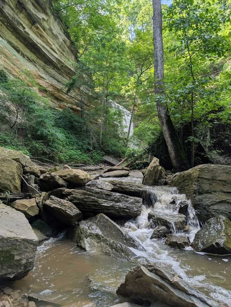 Clifty Canyon: The Geological Story Beneath Your Feet Clifty Canyon: The Geological Story Beneath Your Feet