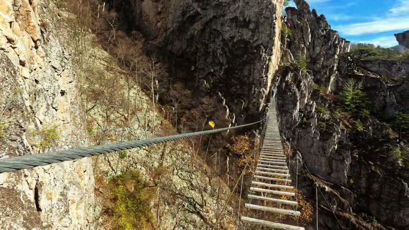 Clip, Climb, and Conquer