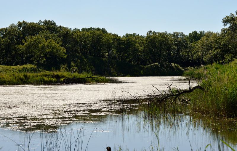 Coastal Wetlands and Interdunal Ponds Along the Route