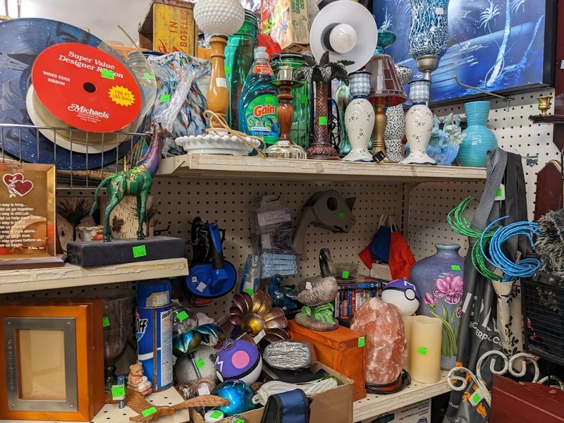 Collectibles, Curiosities, and the Art of the Unexpected Find