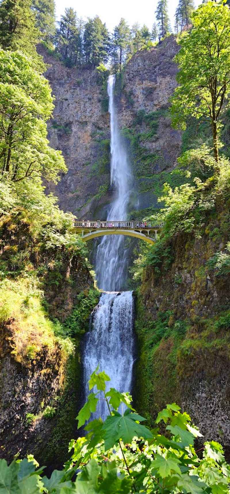 Columbia River Gorge Scenic Bikeway, Columbia River Gorge, Oregon