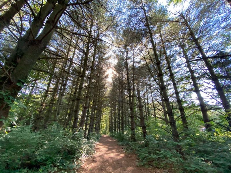 Come Explore Seven Miles of Trails Through Wild Terrain