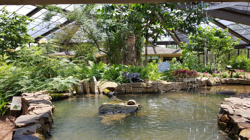 Come Explore the Lush Tropical Habitat Inside