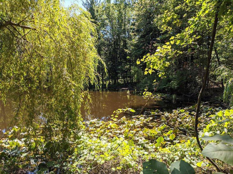 Come Walk Coffee Creek Watershed Preserve