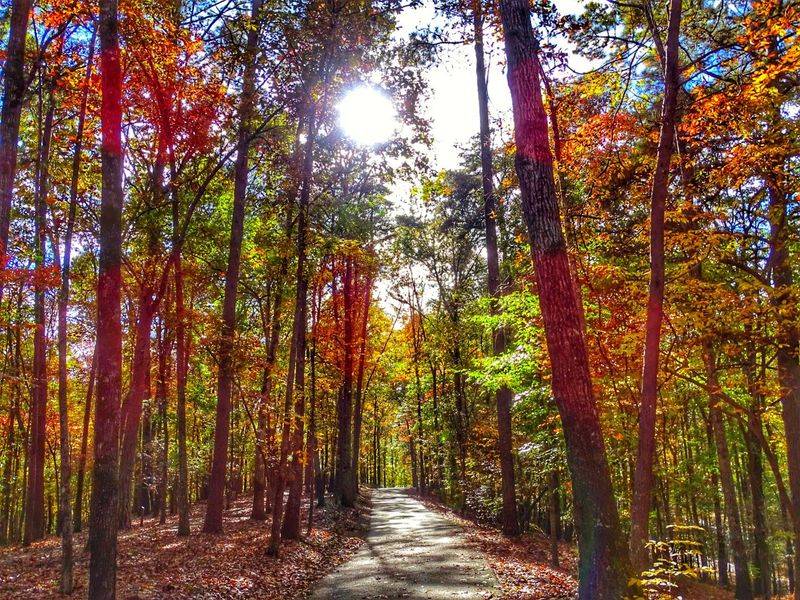 Come Walk Trails That Follow Old Historic Roadways