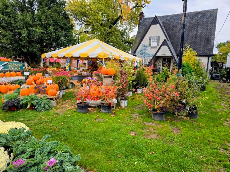 Come Wander the Restored Honeymoon Cottage
