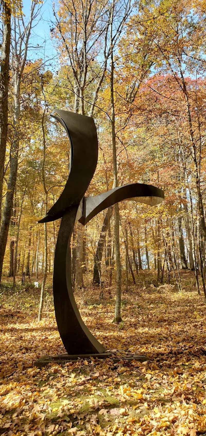 Come for the Art and Stay for the Forest Atmosphere