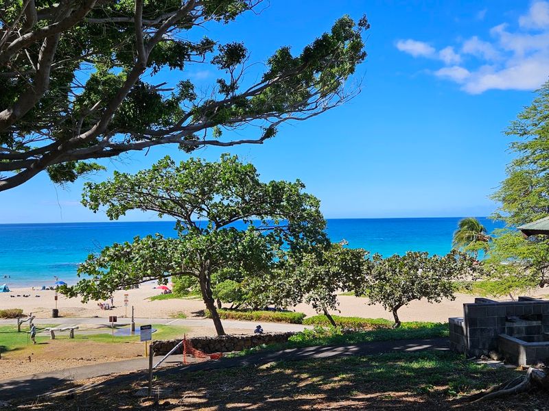Comforts and Conveniences Under the Hawaiian Sun Comforts and Conveniences Under the Hawaiian Sun