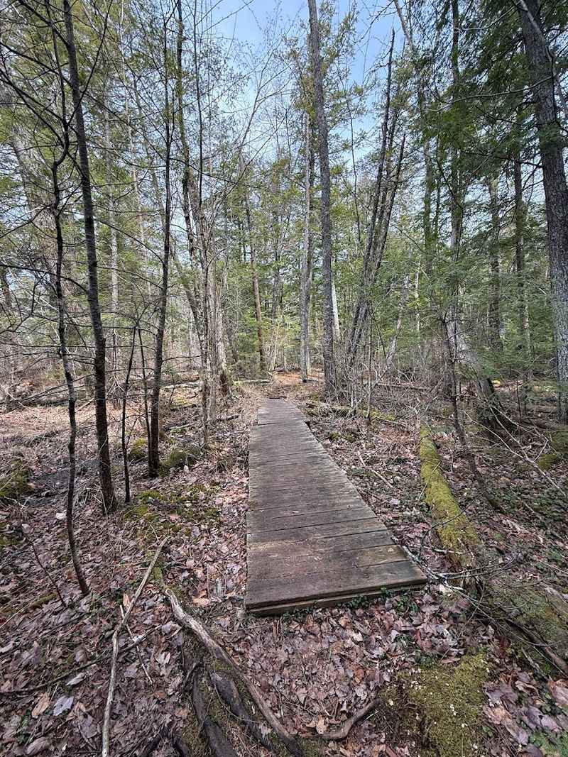 Conservation Education That Actually Sticks