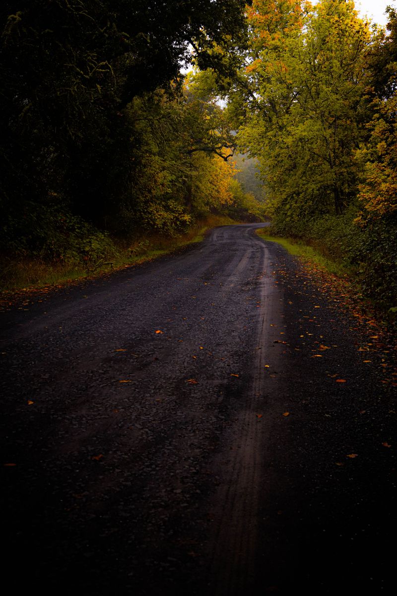 County Road 30, Stearns County