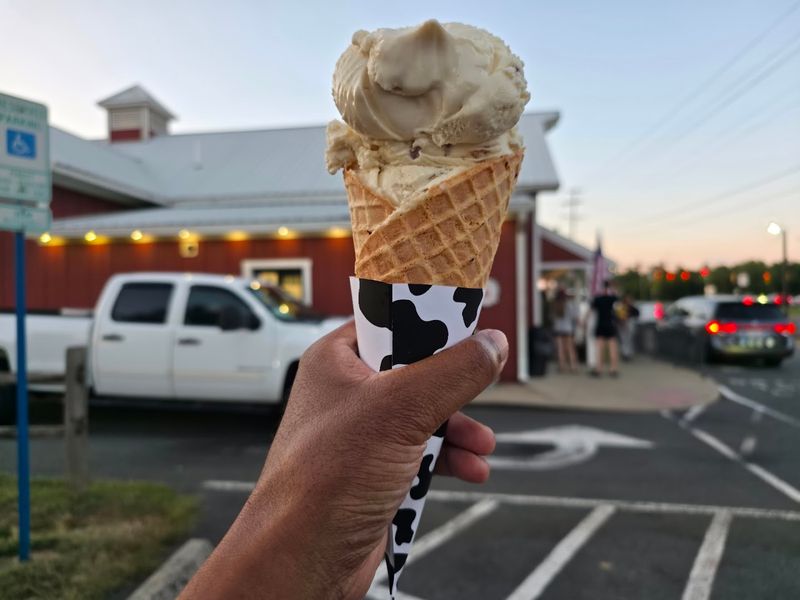 Cow to Cone With One Step in Between
