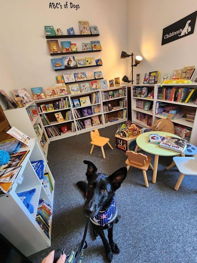 Cozy Thrillers and Adoptable Puppies at Tales and Tails Book Cafe Fredericksburg Cozy Thrillers and Adoptable Puppies at Tales and Tails Book Cafe Fredericksburg