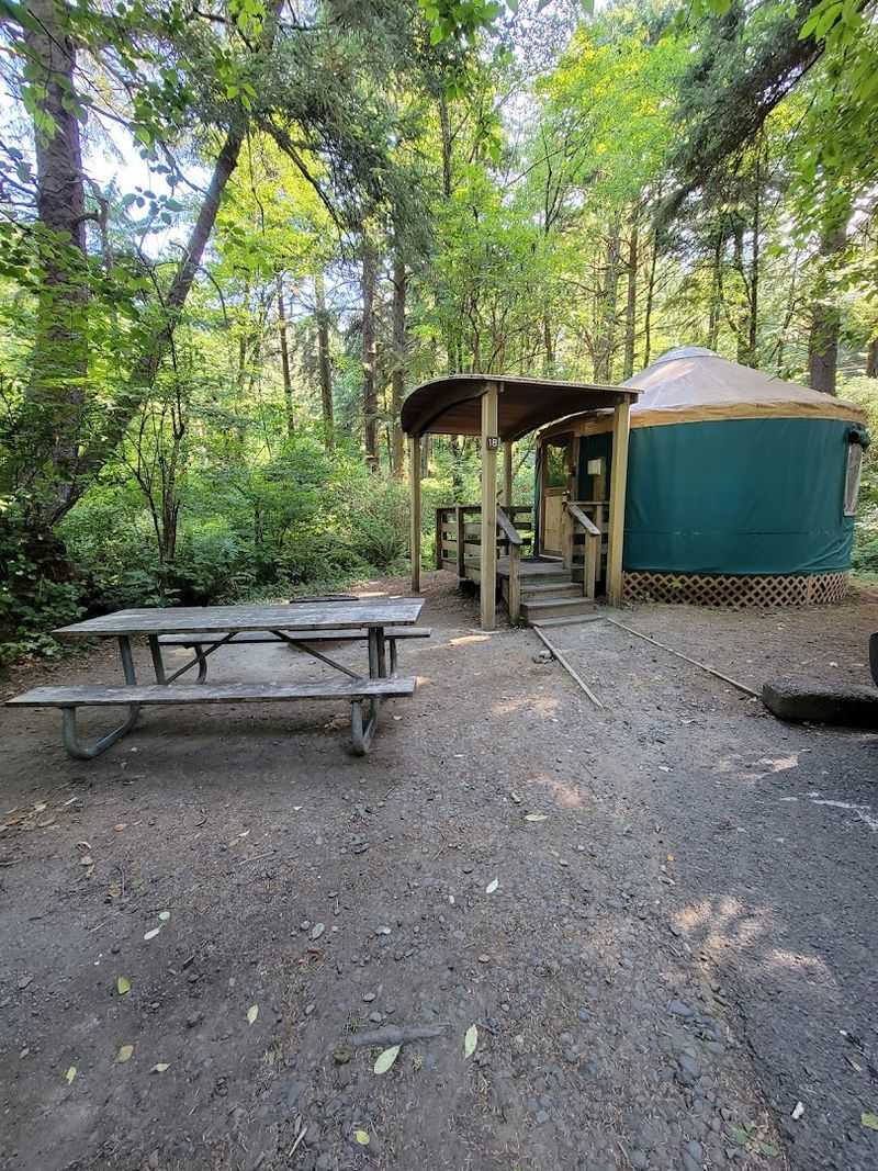 Cozy Yurts That Make Camping Actually Comfortable Cozy Yurts That Make Camping Actually Comfortable