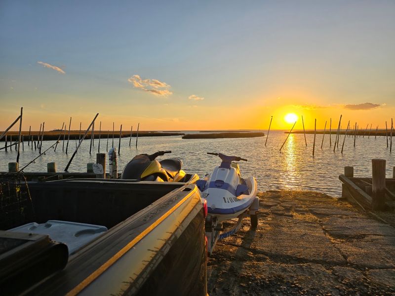 Crabbing and Wildlife Along the Shoreline