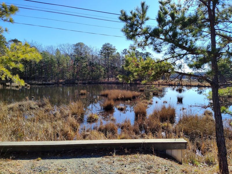 Cranberry Trails That Taste Like Secrets
