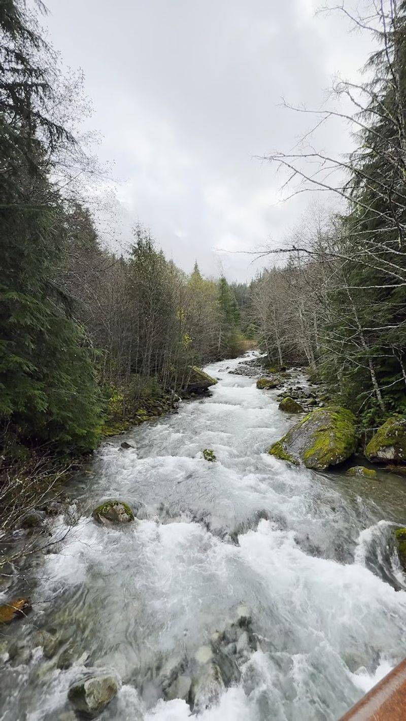 Crossing the South Fork Sauk River: The Bridge That Washed Away