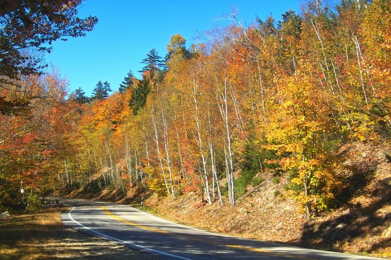 Cruise the Kancamagus Highway