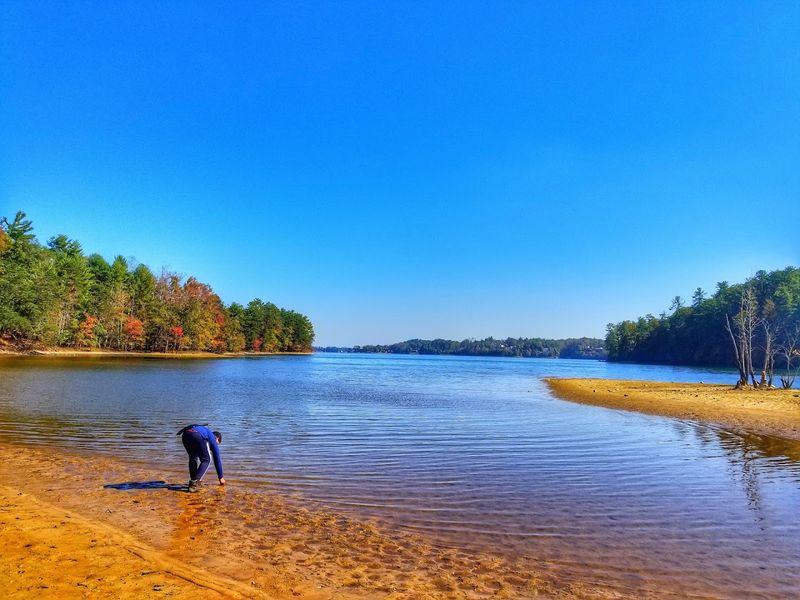Crystal-Clear Water and What Lives Beneath It