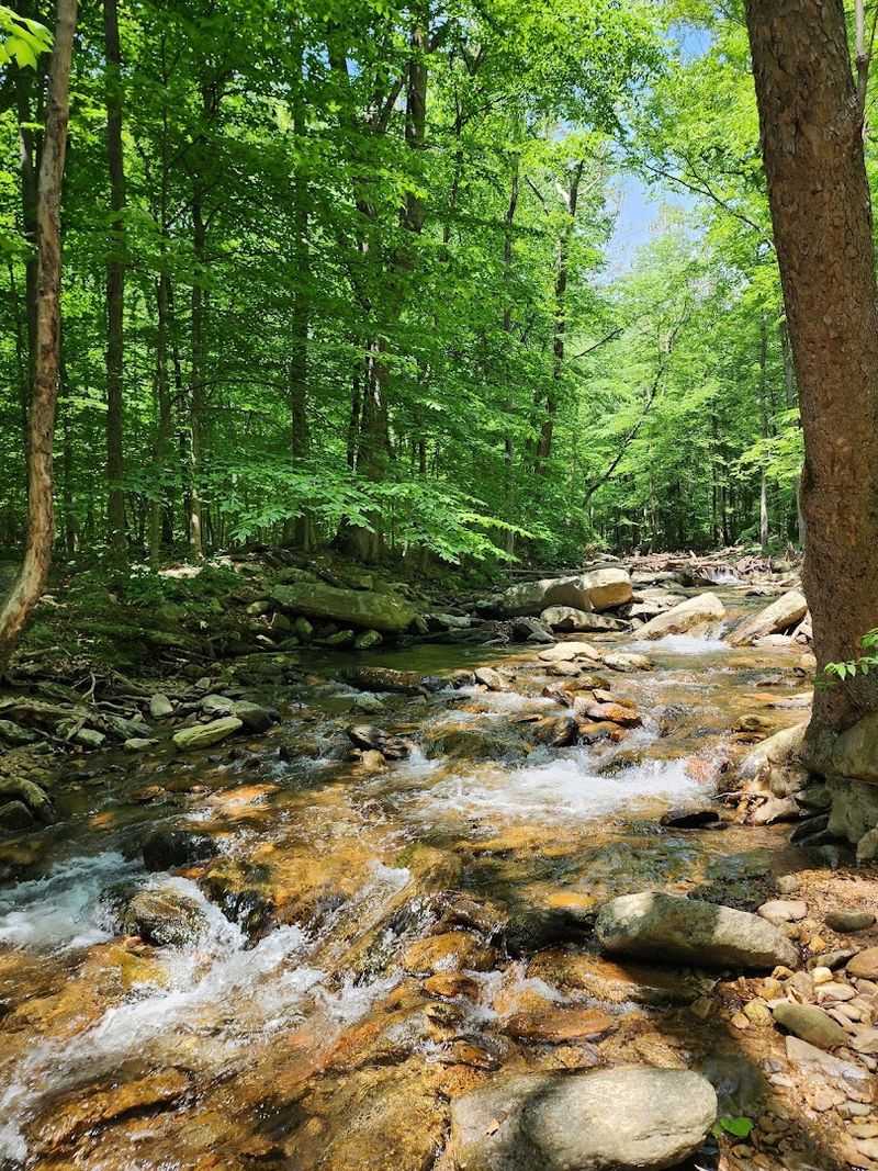 Cunningham Falls State Park Cunningham Falls State Park