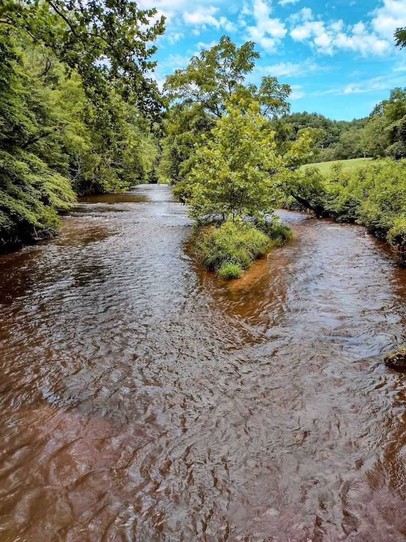 Dan River Dan River