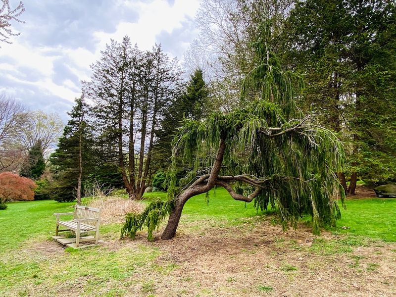David C. Shaw's Vision Still Shapes Holmdel's Landscape David C. Shaw's Vision Still Shapes Holmdel's Landscape