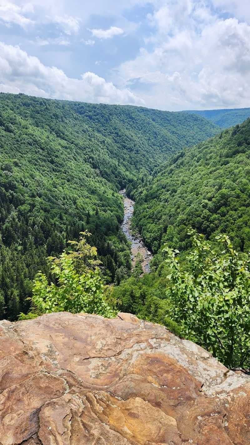 Davis Has a View Worth Seeing Davis Has a View Worth Seeing